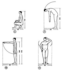 Norm, measure of all things
